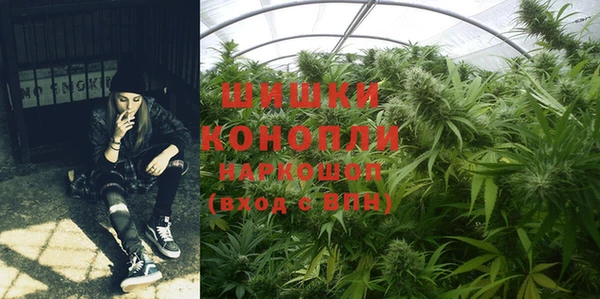 прущий лед Михайлов