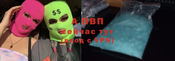 прущий лед Михайлов