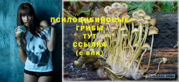 jwh Михайловск
