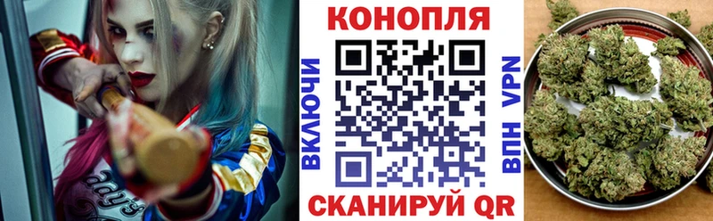 Марихуана THC 21% MEGA ССЫЛКА Жуков где купить наркотик
